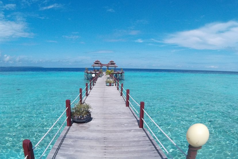 3D Derawan Underwater ( Starting from Rp 3.100.000 )